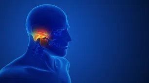 TMJ Biomechanical Analysis – Part 2: Muscular Mechanisms, Joint Locking and Clinical Tests