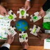 cpd-IFRS-Lab-Organisations-Social-Sustainability-Frameworks